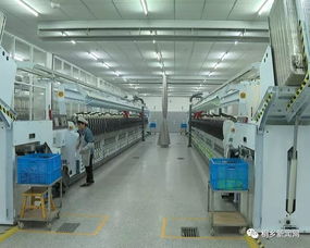 桐鄉(xiāng)科技與時尚融合 鑄就行業(yè)“單打冠軍”的技術(shù)開發(fā)之路