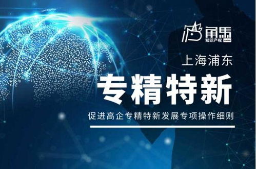 上海浦東新區促進高新技術企業專精特新發展技術服務專項操作細則