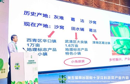 小種子撬動大產業 第五屆邢臺國際十字花科蔬菜產業大會盛大啟帷，展現科技興農新圖景